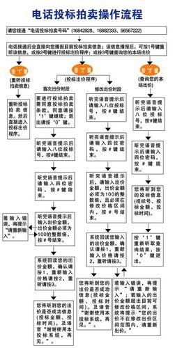 上海车牌拍卖流程,上海车牌拍卖流程详解