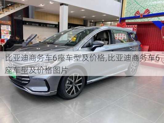 比亚迪商务车6座车型及价格,比亚迪商务车6座车型及价格图片