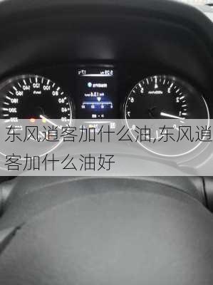 东风逍客加什么油,东风逍客加什么油好